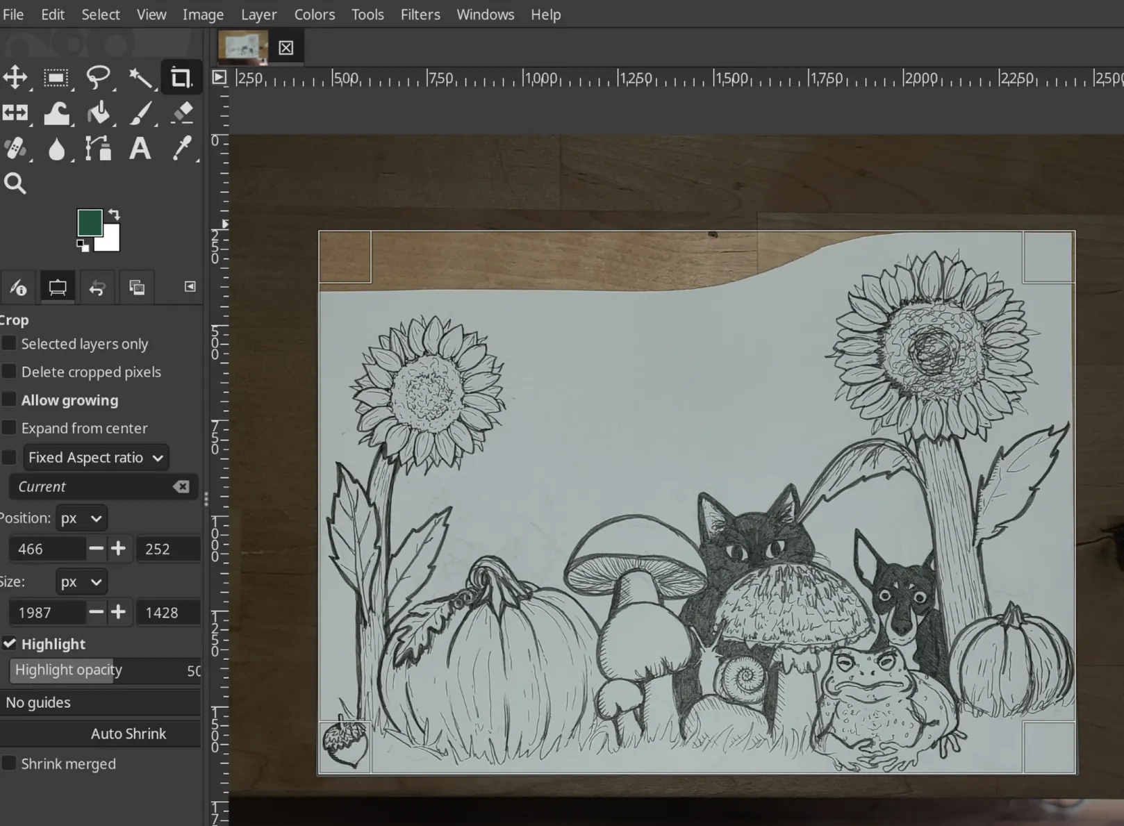 Cropping the drawing in GIMP Cropping the image in GIMP