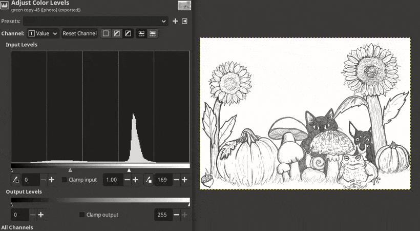 Dragging the black point slider to deepen the lines Adjusting the black point