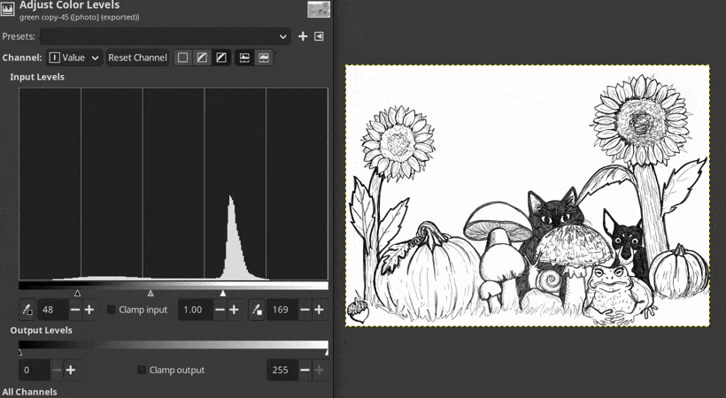 Fine-tuning contrast with the middle slider Adjusting gamma