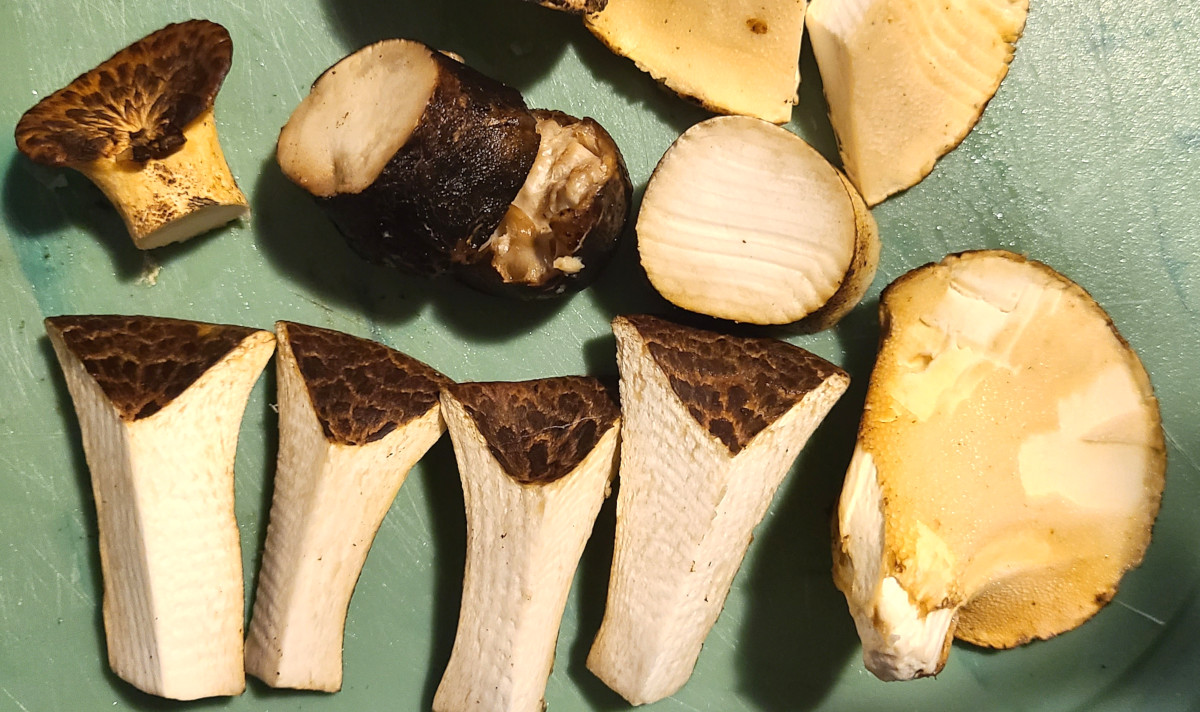 Sliced and cleaned mushrooms